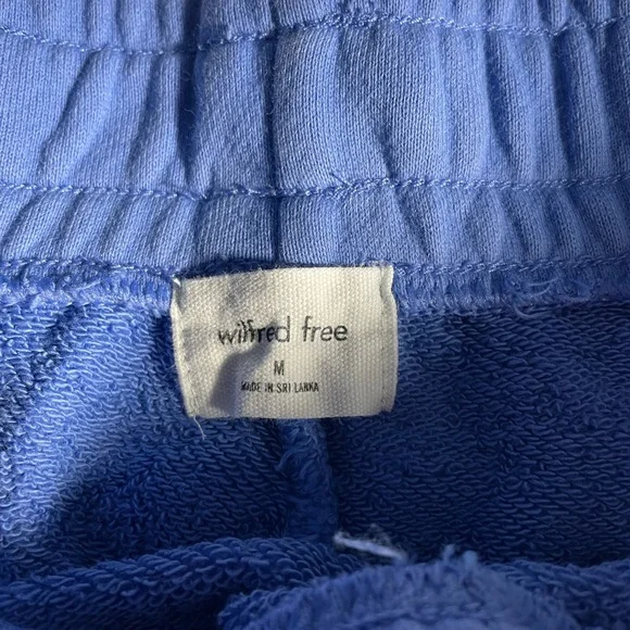 Aritzia Shorts - Picture 3 of 3